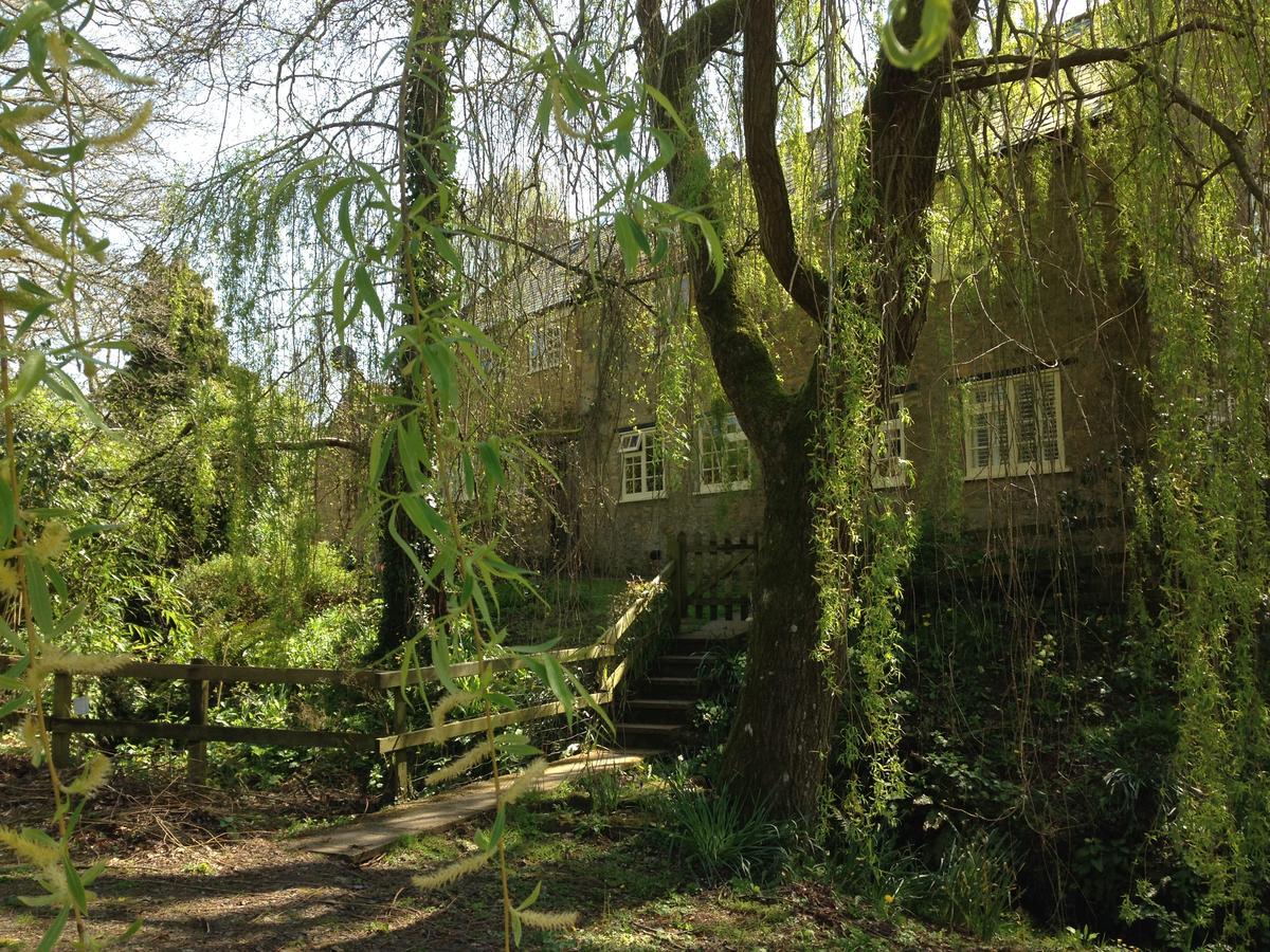 Bagnell Cottage Chiselborough Exterior foto